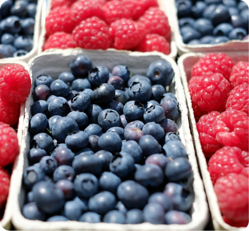 Premium Fruits Featured