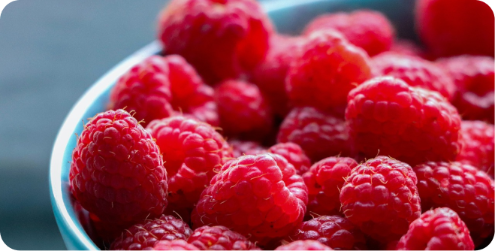 Fresh Fruits Introduction