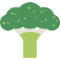 Fresh Spinach